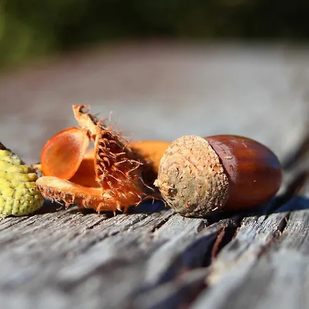 Rhoenwiese Herberg Birx