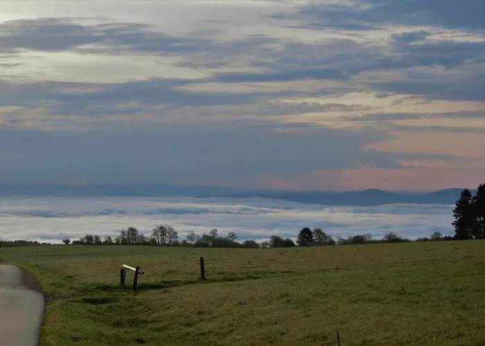 Rhoenwiese * 比尔克斯