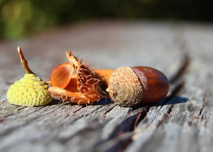 Rhoenwiese Herberg Birx